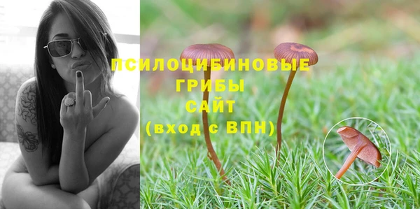 метадон Арсеньев