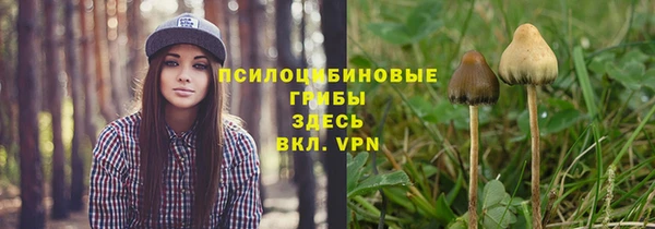 СК Алзамай