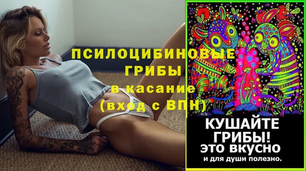 a pvp Алексин